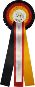 Nationalschleife Frankfurt schwarz-rot-gelb