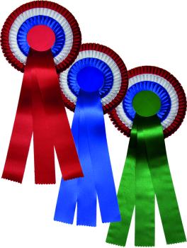 Niederlande Exclusiv