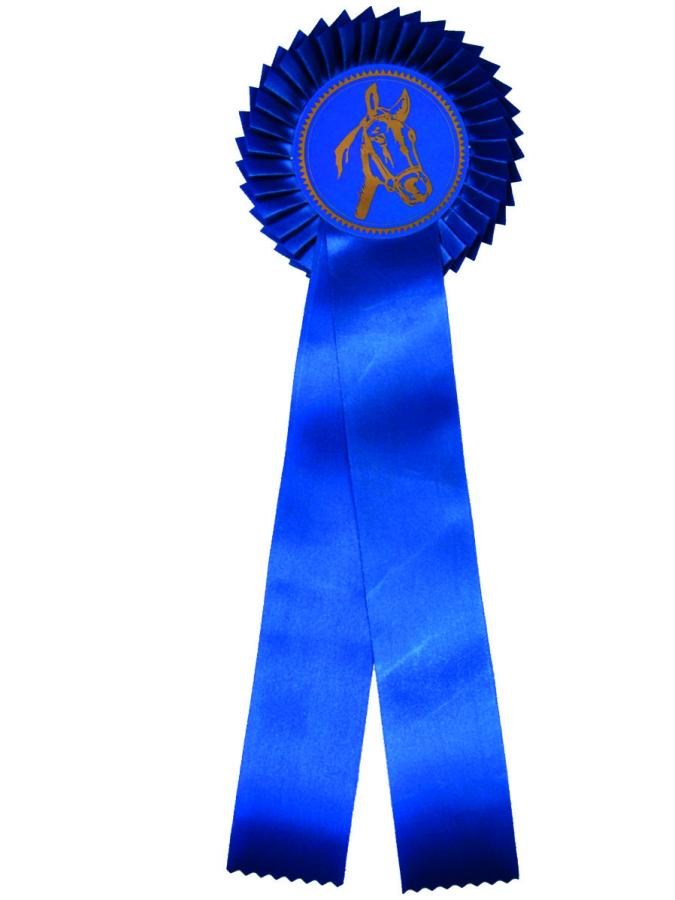 20410-4-Schleife-Prag-Einfachrosette-Premium-uni-blau.jpg