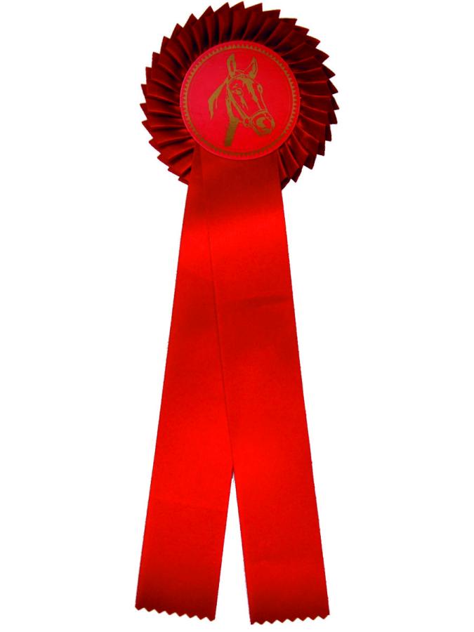 20410-5-Schleife-Prag-Einfachrosette-Premium-uni-rot.jpg