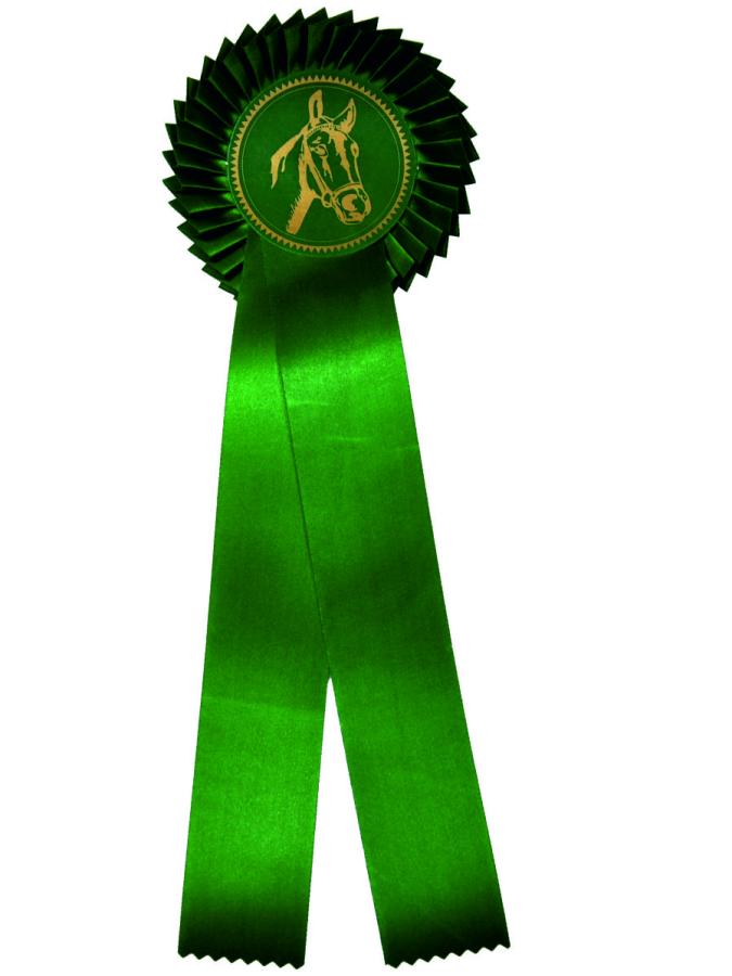 20410-6-Schleife-Prag-Einfachrosette-Premium-uni-gruen.jpg