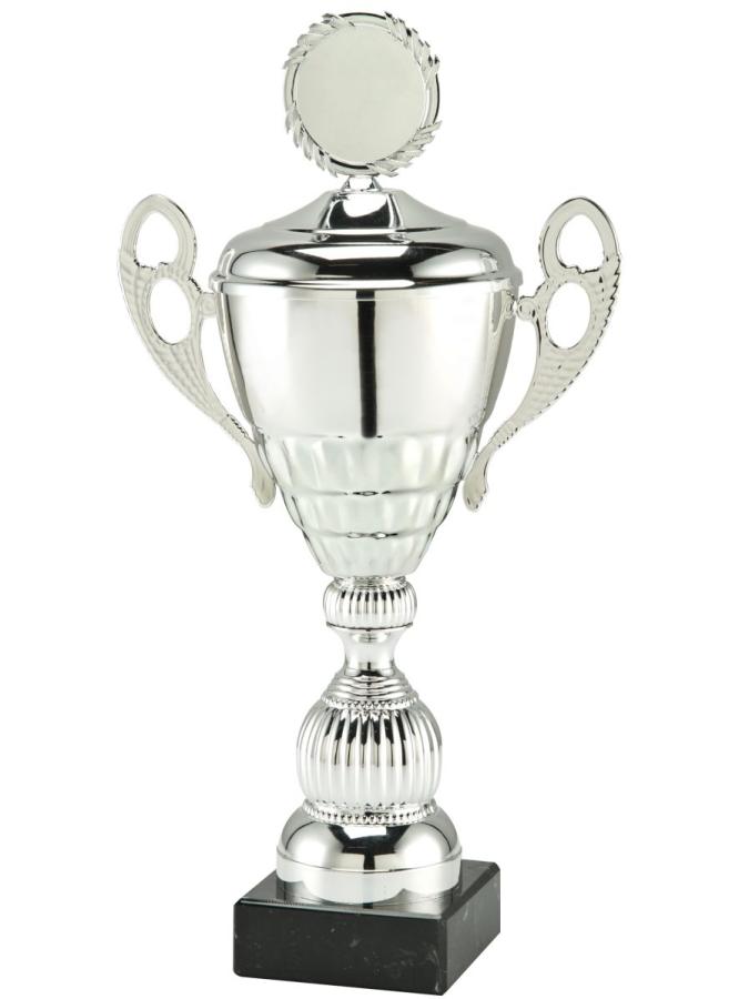 50141 Silver Cup
