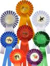 20610-gruppe-Schleife-Sarajevo-breite-Einfachrosette-Premium-uni.jpg