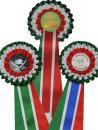 nation loop Verona green-white-red